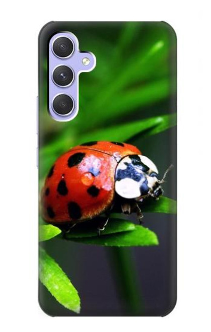 S0263 天道虫 Ladybug Samsung Galaxy A54 5G バックケース、フリップケース・カバー