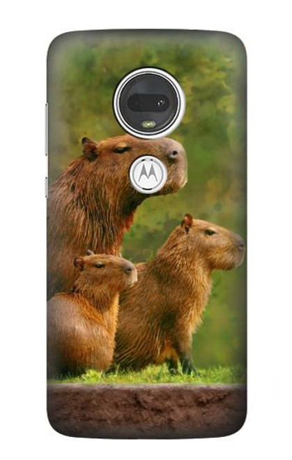 S3917 カピバラの家族 巨大モルモット Capybara Family Giant Guinea Pig Motorola Moto G7, Moto G7 Plus バックケース、フリップケース・カバー