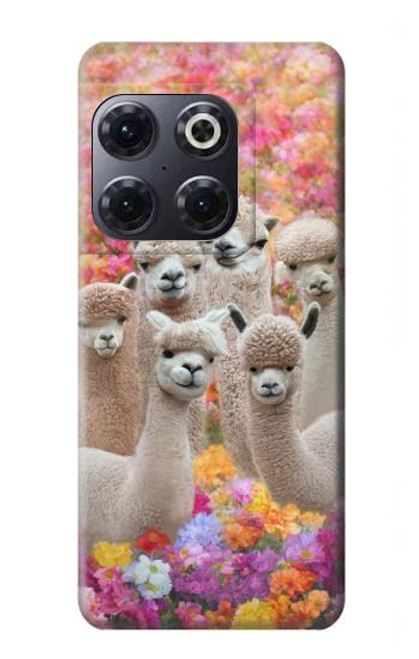 S3916 アルパカファミリー ベビーアルパカ Alpaca Family Baby Alpaca OnePlus 10T バックケース、フリップケース・カバー