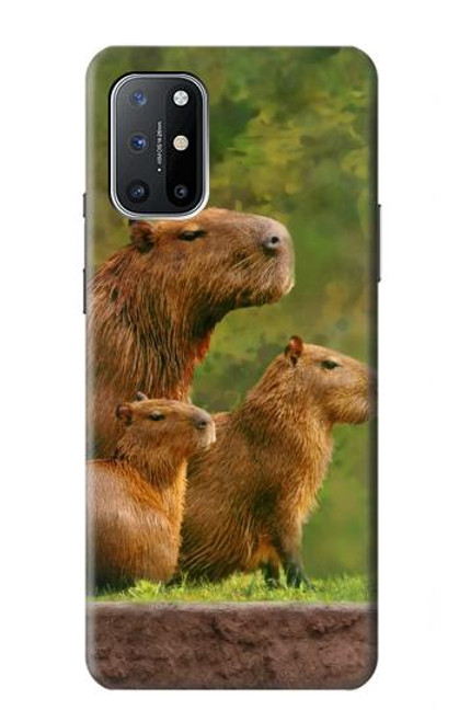 S3917 カピバラの家族 巨大モルモット Capybara Family Giant Guinea Pig OnePlus 8T バックケース、フリップケース・カバー