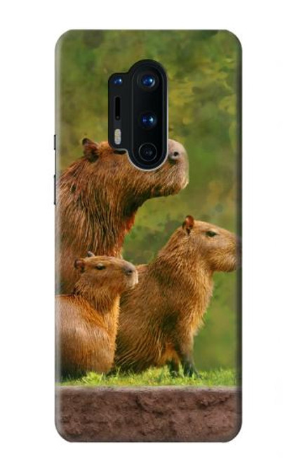 S3917 カピバラの家族 巨大モルモット Capybara Family Giant Guinea Pig OnePlus 8 Pro バックケース、フリップケース・カバー