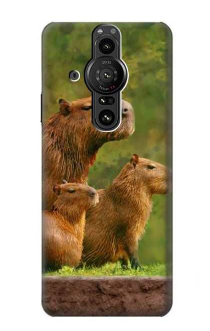 S3917 カピバラの家族 巨大モルモット Capybara Family Giant Guinea Pig Sony Xperia Pro-I バックケース、フリップケース・カバー