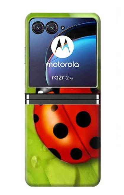 S0892 天道虫 Ladybug Motorola Razr 40 Ultra バックケース、フリップケース・カバー