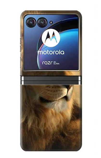 S1046 ライオン 森の王 Lion King of Forest Motorola Razr 40 Ultra バックケース、フリップケース・カバー S1046 ライオン 森の王 Lion King of Forest Motorola Razr 40 Ultra バックケース、フリップケース・カバー