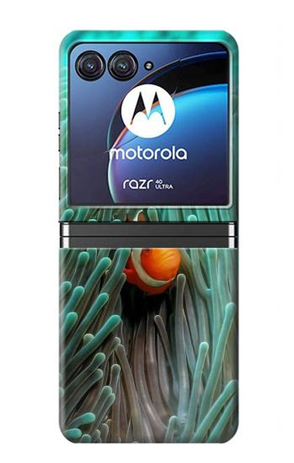 S3893 カクレクマノミ Ocellaris clownfish Motorola Razr 40 Ultra バックケース、フリップケース・カバー