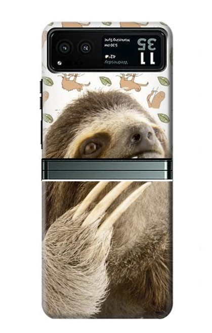 S3559 ナマケモノ Sloth Pattern Motorola Razr 40 バックケース、フリップケース・カバー
