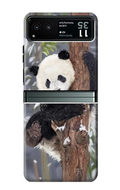 S3793 かわいい赤ちゃん雪パンダのペイント Cute Baby Panda Snow Painting Motorola Razr 40 バックケース、フリップケース・カバー