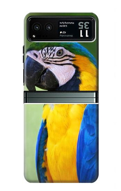 S3888 コンゴウインコの顔の鳥 Macaw Face Bird Motorola Razr 40 バックケース、フリップケース・カバー