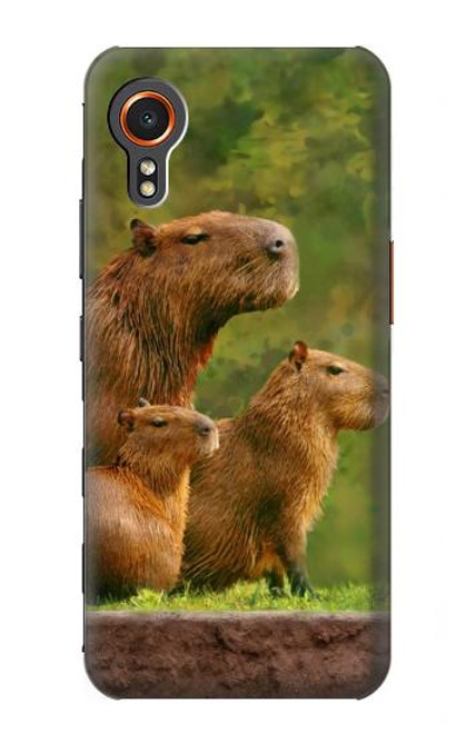 S3917 カピバラの家族 巨大モルモット Capybara Family Giant Guinea Pig Samsung Galaxy Xcover7 バックケース、フリップケース・カバー