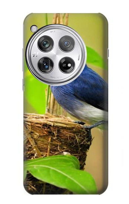 S3839 幸福の青い 鳥青い鳥 Bluebird of Happiness Blue Bird OnePlus 12 バックケース、フリップケース・カバー