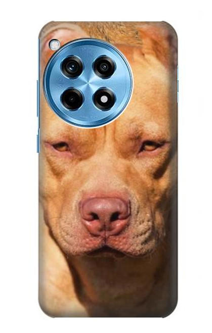 S2903 アメリカンピットブル American Pitbull Dog OnePlus 12R バックケース、フリップケース・カバー