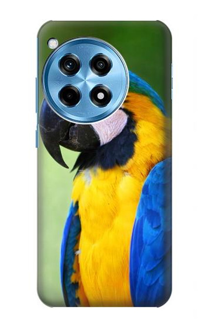 S3888 コンゴウインコの顔の鳥 Macaw Face Bird OnePlus 12R バックケース、フリップケース・カバー