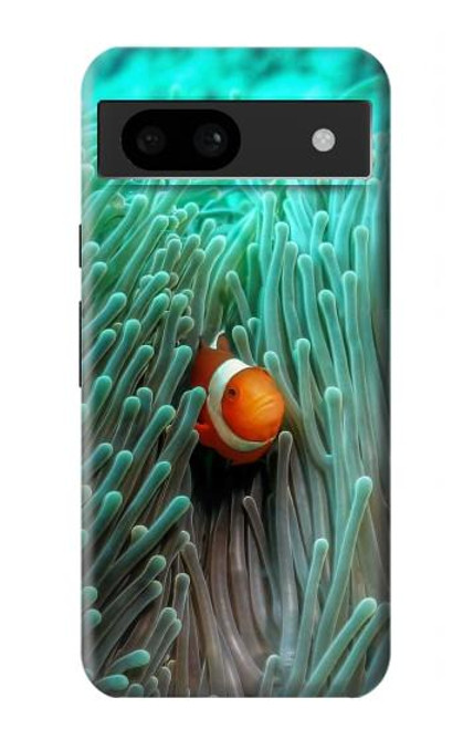 S3893 カクレクマノミ Ocellaris clownfish Google Pixel 8a バックケース、フリップケース・カバー