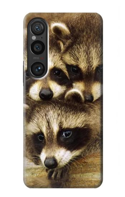 S0977 アライグマの赤ちゃん Baby Raccoons Sony Xperia 1 VI バックケース、フリップケース・カバー