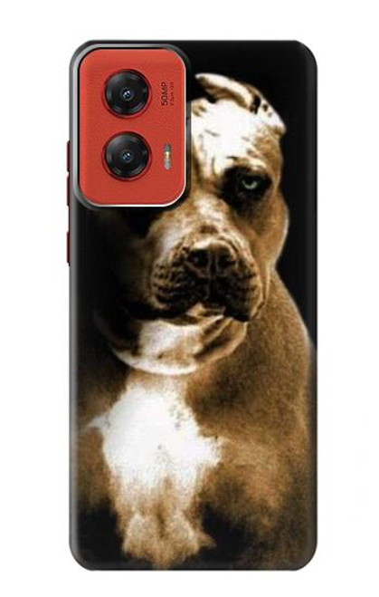 S0520 ピットブル PitBull Motorola Moto G Stylus 5G (2024) バックケース、フリップケース・カバー