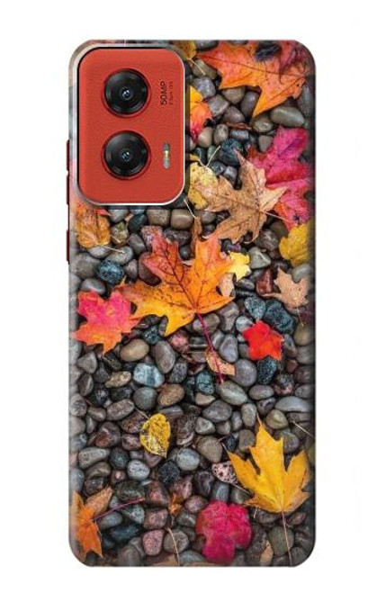 S3889 メープル リーフ Maple Leaf Motorola Moto G Stylus 5G (2024) バックケース、フリップケース・カバー