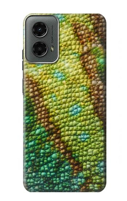 S3057 トカゲのスキングラフィックプリント Lizard Skin Graphic Printed Motorola Moto G 5G (2024) バックケース、フリップケース・カバー