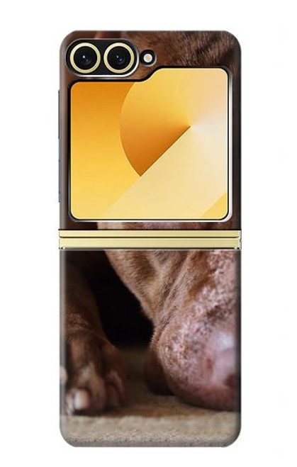 S0519 ピットブルの顔 PitBull Face Samsung Galaxy Z Flip 6, Flip 7 FE バックケース、フリップケース・カバー