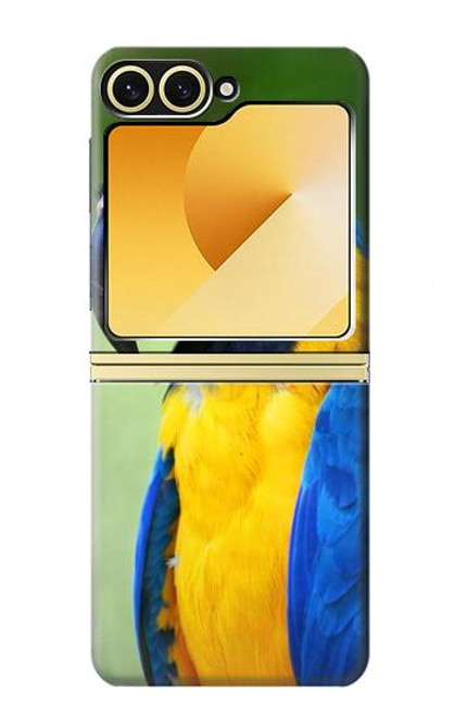 S3888 コンゴウインコの顔の鳥 Macaw Face Bird Samsung Galaxy Z Flip 6, Flip 7 FE バックケース、フリップケース・カバー
