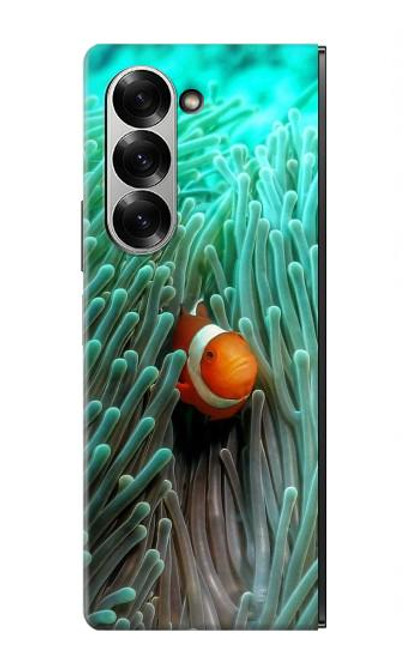 S3893 カクレクマノミ Ocellaris clownfish Samsung Galaxy Z Fold 6 バックケース、フリップケース・カバー