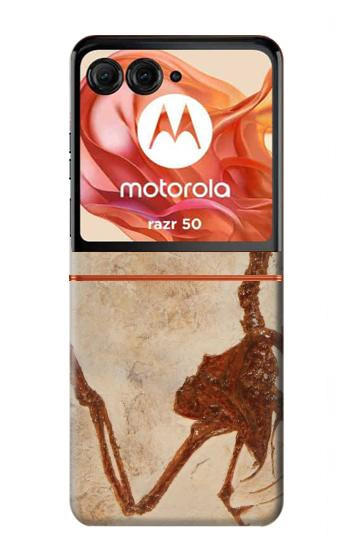 S0379 恐竜化石 Dinosaur Fossil Motorola Razr 70,60,50, Razr (2026, 2025, 2024) バックケース、フリップケース・カバー