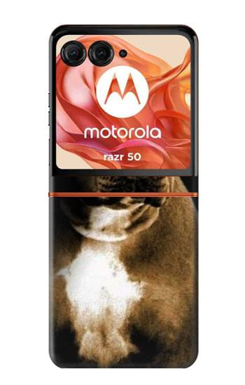 S0520 ピットブル PitBull Motorola Razr 70,60,50, Razr (2026, 2025, 2024) バックケース、フリップケース・カバー
