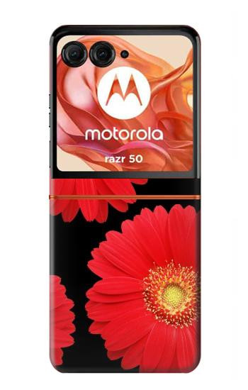S2478 赤デイジーの花 Red Daisy flower Motorola Razr 70,60,50, Razr (2026, 2025, 2024) バックケース、フリップケース・カバー