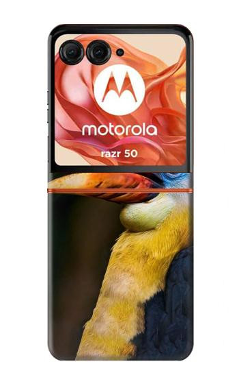 S3876 カラフルなサイチョウ Colorful Hornbill Motorola Razr 70,60,50, Razr (2026, 2025, 2024) バックケース、フリップケース・カバー
