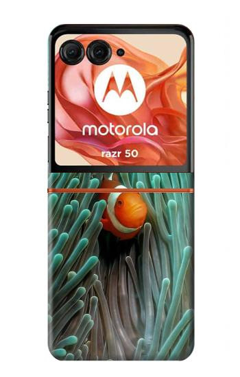 S3893 カクレクマノミ Ocellaris clownfish Motorola Razr 70,60,50, Razr (2026, 2025, 2024) バックケース、フリップケース・カバー