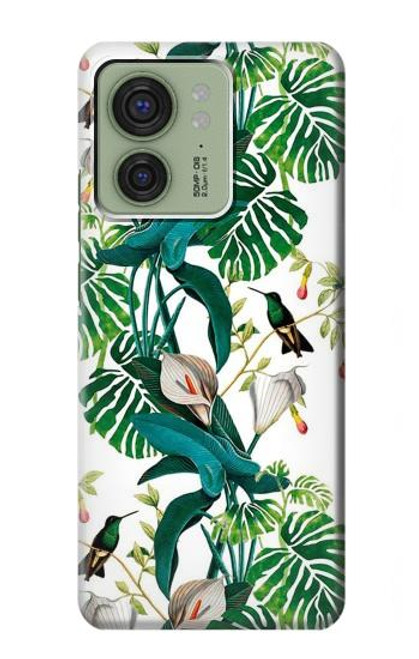 S3697 リーフライフバード Leaf Life Birds Motorola Edge (2023), Edge 40 バックケース、フリップケース・カバー