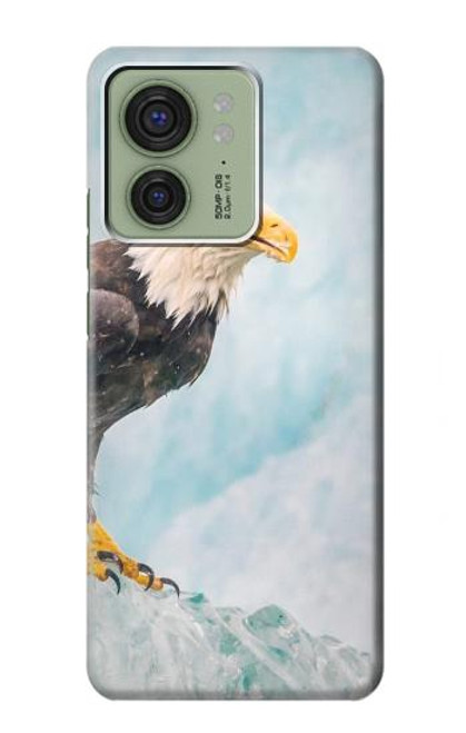 S3843 白頭ワシと氷 Bald Eagle On Ice Motorola Edge (2023), Edge 40 バックケース、フリップケース・カバー