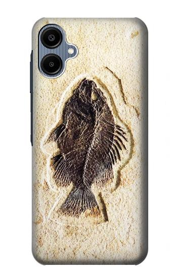 S2562 魚化石 Fossil Fish Samsung Galaxy A06 バックケース、フリップケース・カバー