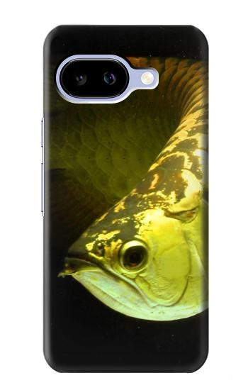 S1021 ゴールドアロワナの魚 Gold Arowana Fish Google Pixel 9a バックケース、フリップケース・カバー