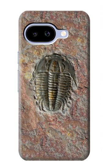 S1454 三葉虫の化石 Trilobite Fossil Google Pixel 9a バックケース、フリップケース・カバー