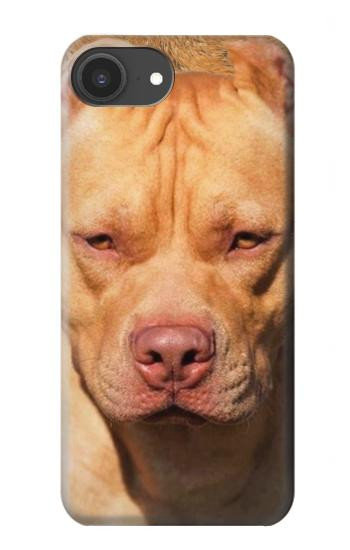S2903 アメリカンピットブル American Pitbull Dog iPhone 16e, 17e バックケース、フリップケース・カバー