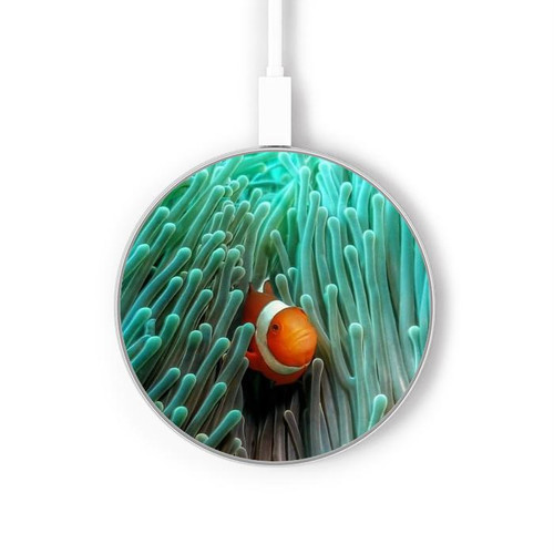 S3893 カクレクマノミ Ocellaris clownfish ワイヤレス充電パッド 15W タイプC iPhone Android LEDライト充電ステーション