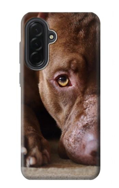 S0519 ピットブルの顔 PitBull Face Samsung Galaxy A36 バックケース、フリップケース・カバー