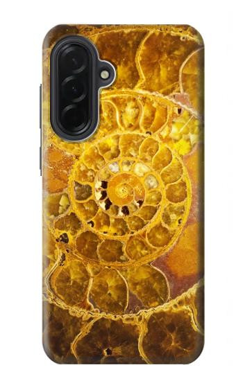 S1789 アンモナイト化石 Ammonite Fossils Samsung Galaxy A36 バックケース、フリップケース・カバー