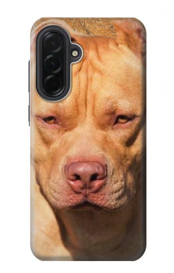 S2903 アメリカンピットブル American Pitbull Dog Samsung Galaxy A36 バックケース、フリップケース・カバー