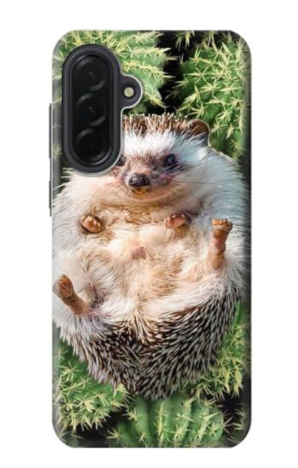 S3863 ピグミー ハリネズミ ドワーフ ハリネズミ ペイント Pygmy Hedgehog Dwarf Hedgehog Paint Samsung Galaxy A36 バックケース、フリップケース・カバー