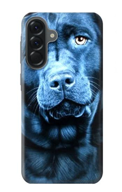 S0750 ラブラドール・レトリーバーの犬 Labrador Retriever Samsung Galaxy A56 バックケース、フリップケース・カバー