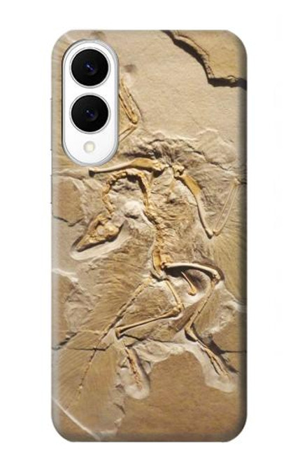 S0380 恐竜化石 Dinosaur Fossil Samsung Galaxy S25 Edge バックケース、フリップケース・カバー