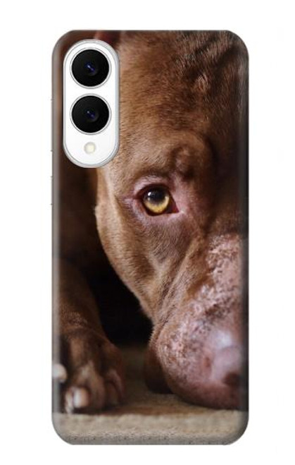 S0519 ピットブルの顔 PitBull Face Samsung Galaxy S25 Edge バックケース、フリップケース・カバー