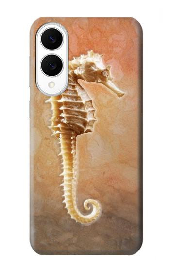 S2674 タツノオトシゴスケルトン化石 Seahorse Skeleton Fossil Samsung Galaxy S25 Edge バックケース、フリップケース・カバー