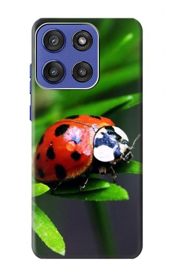 S0263 天道虫 Ladybug Motorola Moto G Stylus 5G (2025), Edge 60 Stylus バックケース、フリップケース・カバー
