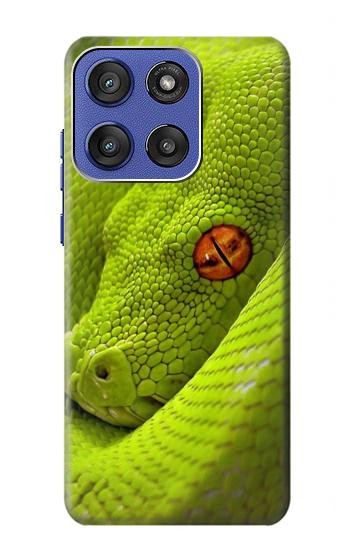 S0785 グリーンスネーク Green Snake Motorola Moto G Stylus 5G (2025,2026), Edge 60 Stylus バックケース、フリップケース・カバー
