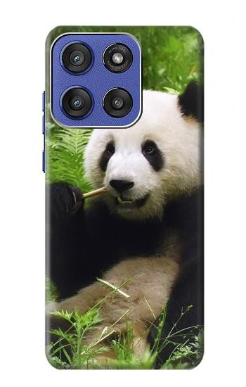 S1073 パンダは食べるのが楽しみ Panda Enjoy Eating Motorola Moto G Stylus 5G (2025,2026), Edge 60 Stylus バックケース、フリップケース・カバー
