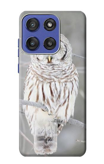 S1566 白フクロウ シロフクロウ Snowy Owl White Owl Motorola Moto G Stylus 5G (2025,2026), Edge 60 Stylus バックケース、フリップケース・カバー