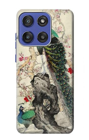 S2086 孔雀の絵画 Peacock Painting Motorola Moto G Stylus 5G (2025,2026), Edge 60 Stylus バックケース、フリップケース・カバー