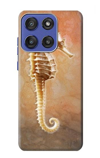 S2674 タツノオトシゴスケルトン化石 Seahorse Skeleton Fossil Motorola Moto G Stylus 5G (2025), Edge 60 Stylus バックケース、フリップケース・カバー